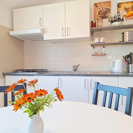 Family Oros Medulin, With A Pool, Ggl Apartament